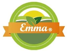 Logo Aliado